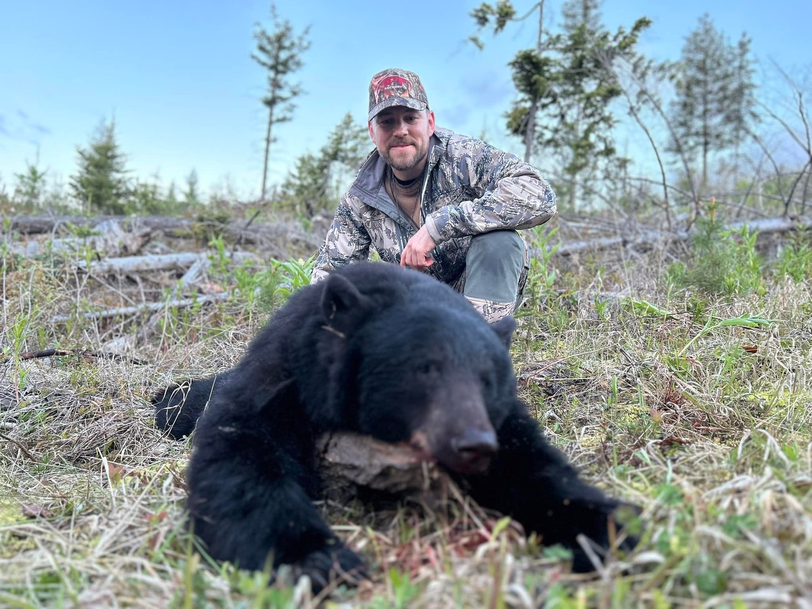 A large black bear taken on a guided spring hunt in Wyoming.