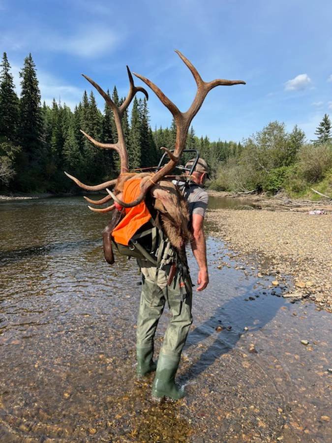 A massive bull elk harvested on a guided hunt in Wyoming.